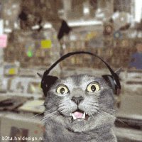 Денис Канык, id72200567